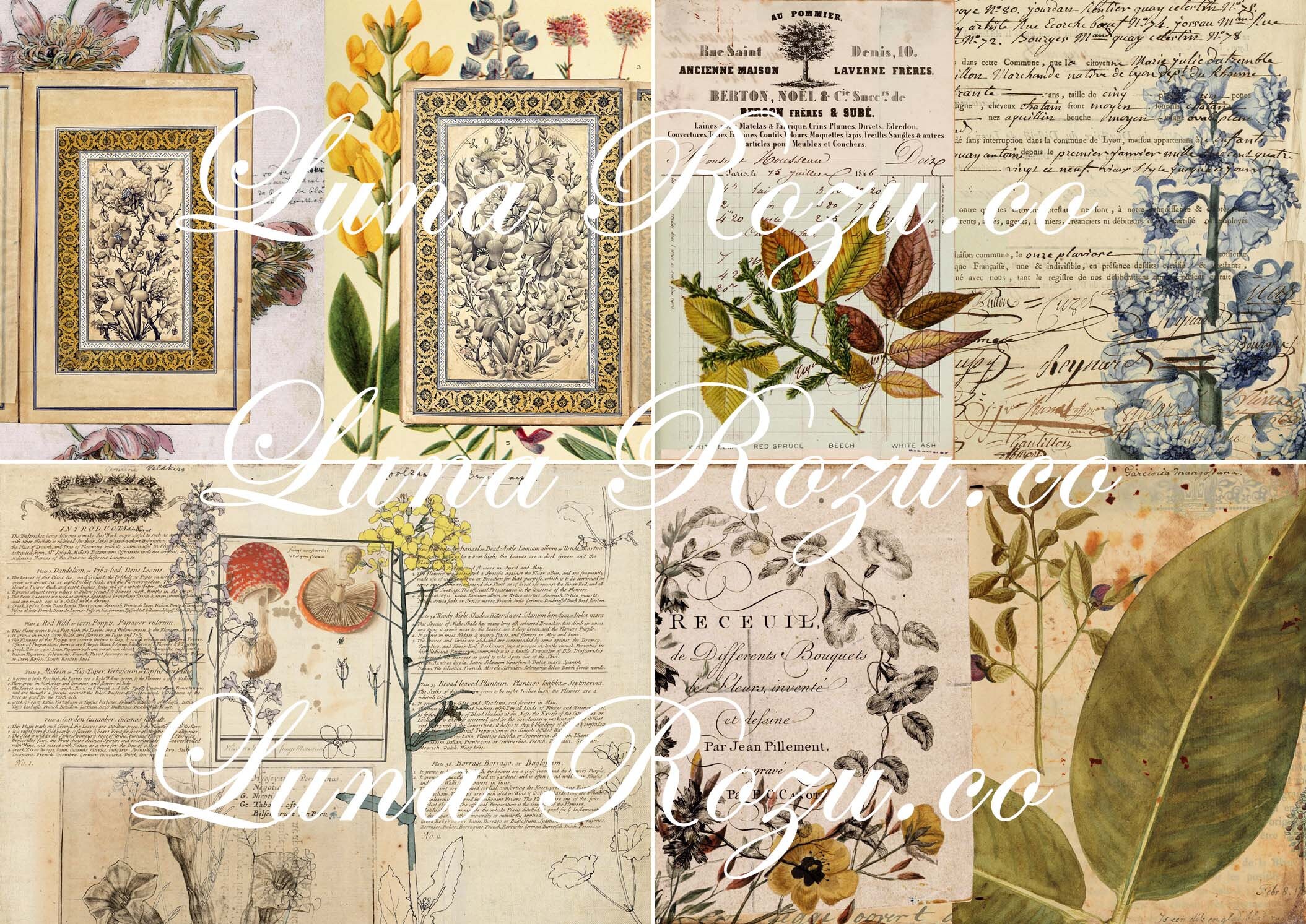 In My Garden Digital Kit - Vintage Floral Botanical - Junk Journal ...