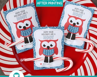 May include: Three printable gift tags featuring a red owl with blue accents and the text "Hope your holidays are a hoot". Each tag has a heart with the name "Hailey" written below it. The tags are attached to candy canes.