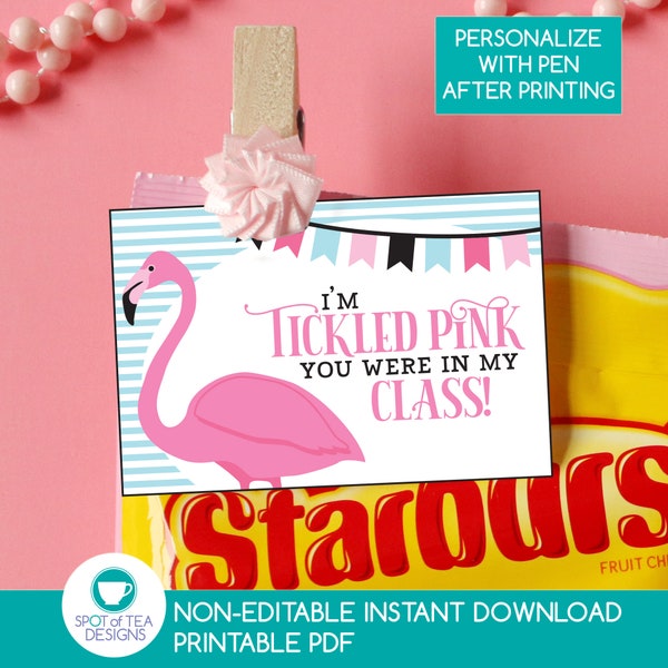 Tickled Pink Last Day of School Tag | Last Day of School Tag | Classroom Classmate Gift | Flamingo Summer Tag | INSTANT DOWNLOAD