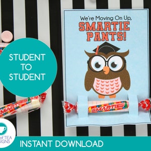 last day of school smartie pants owl teacher version last etsy norway