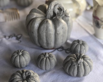 Concrete Pumpkin Set, Thanksgiving Table Decor, Farmhouse Pumpkins, Large Size Pumpkin, Fall Table Setting, Pumpkin Centerpiece, Halloween