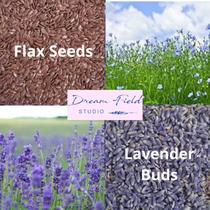 Op de afbeelding: Een collage met lijnzaad, lavendelknoppen en velden met lavendel en vlasbloemen. De afbeelding bevat de tekst "Flax Seeds" en "Lavender Buds", samen met het Dream Field Studio-logo.