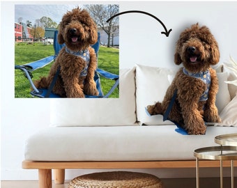 Custom Pet Pillow, Animal Shaped Pillow,  Pet Pillow from Photo