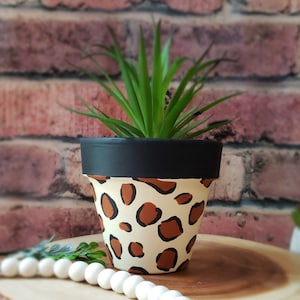 May include: A terracotta planter with a black rim and a brown and white leopard print design. A green succulent plant is growing in the planter.