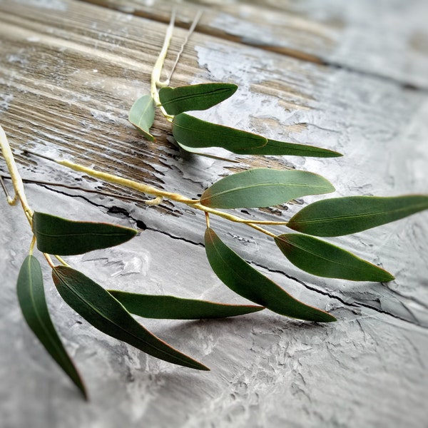Eucalyptus hair pins Bridal greenery hair piece