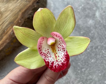 Clip de flor de orquídea verde claro, pasador de pelo de flor nupcial, boda de pieza de pelo de orquídea, pieza de pelo de novia floral, accesorios para el cabello de boda de playa