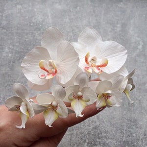 Orchid hair pins Mini flower hair clips White pink orchid hair pin Small white orchid hair flower Wedding hair accessories image 2