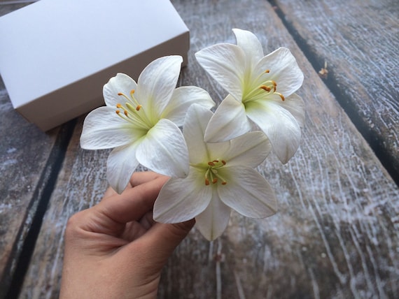 Lily hair accessories deals