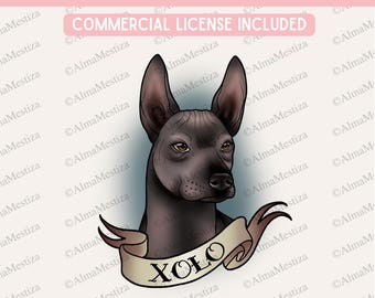 Xoloitzcuintle PNG - Digital Download High Resolution - Dog Designs