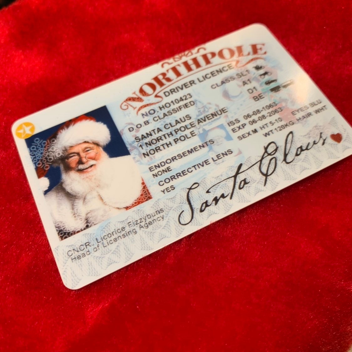 Santa&#39;s Sleigh / Lost Driving License/ Santa License / Santa Driving License / Santa sack / Christmas decorations