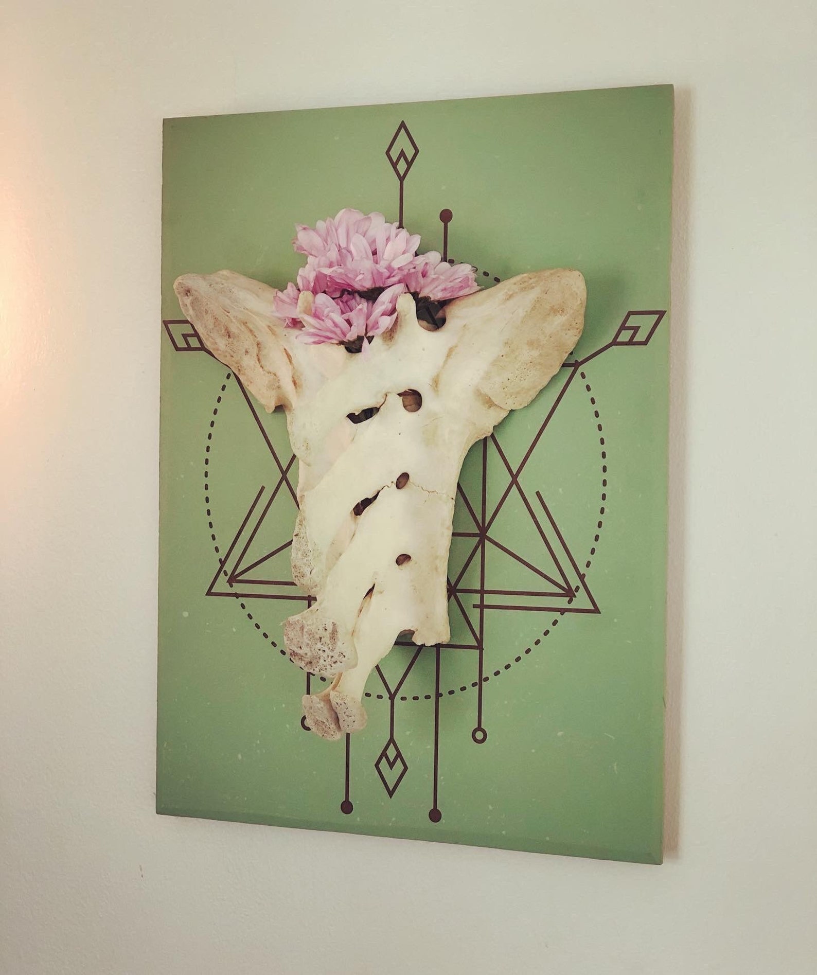 Real Animal Bone Hanging Wall Art Etsy
