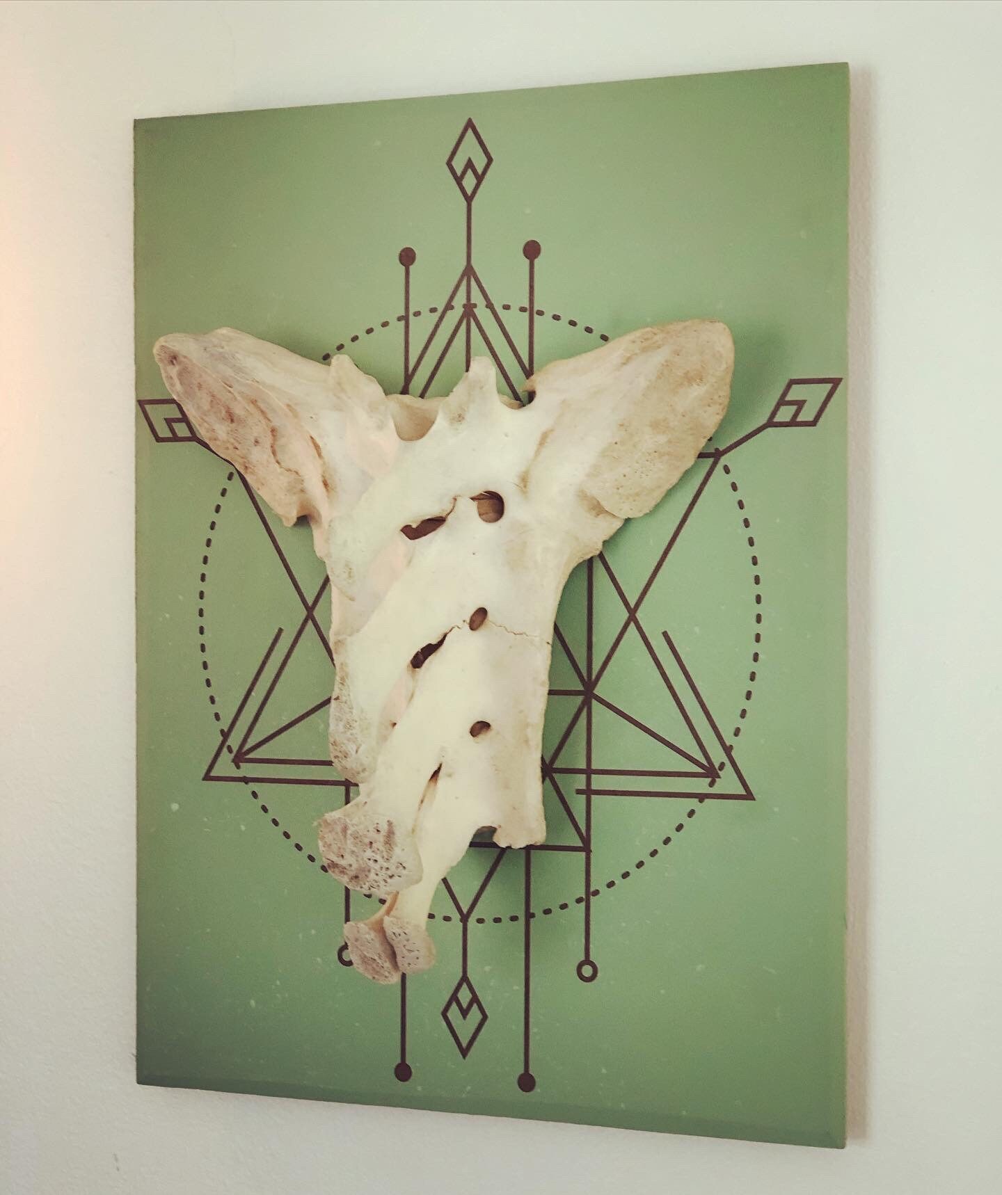 Real Animal Bone Hanging Wall Art | Etsy