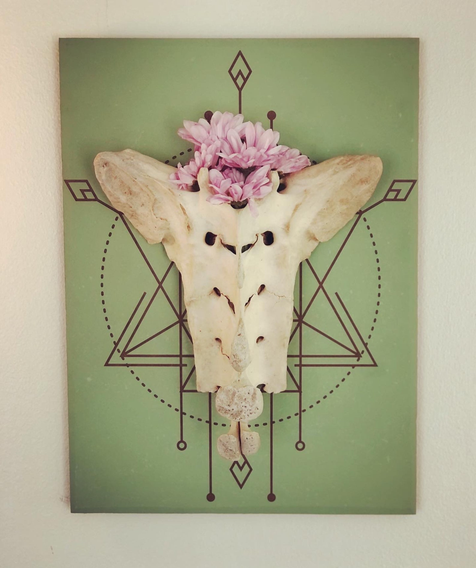 Real Animal Bone Hanging Wall Art Etsy