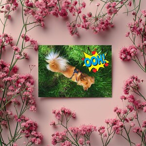 Cute and Funny Cat Postcards - Set of 4 - Snail Mail Stationery, Cyprus Cats, Postcrossing Postcards