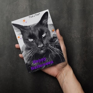 Halloween Cat Postcards: Spooky Cyprus Photography, Snail Mail Set of 4