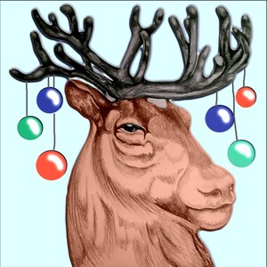 Rentier Weihnachtskarte-Packung mit 5