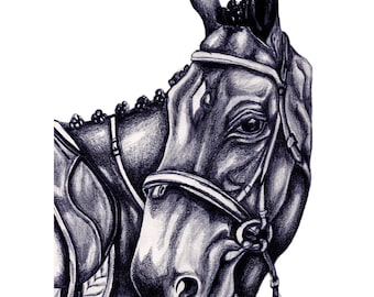 Horse & Bridle Pencil Illustration- Limited Edition Print