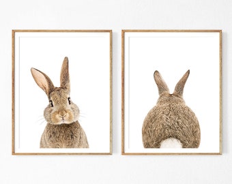 bunny baby room decor
