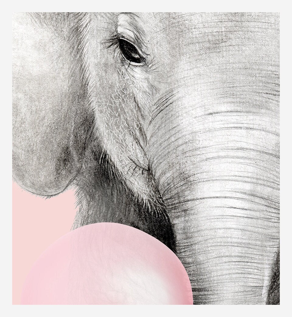 Elephant Print Baby Animal Prints Pink Nursery Wall Art Etsy