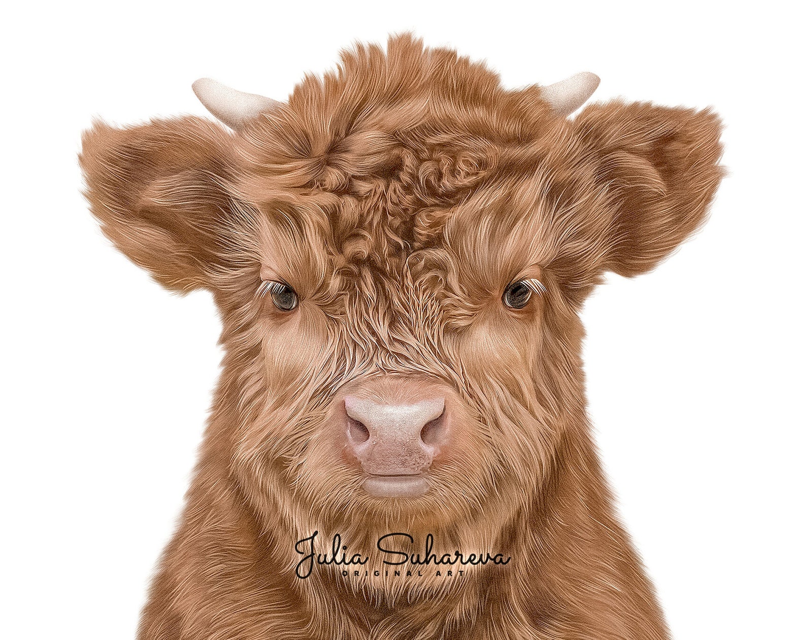 Baby Highland Cow Print Farm Animals Wall Art for Nursery Etsy