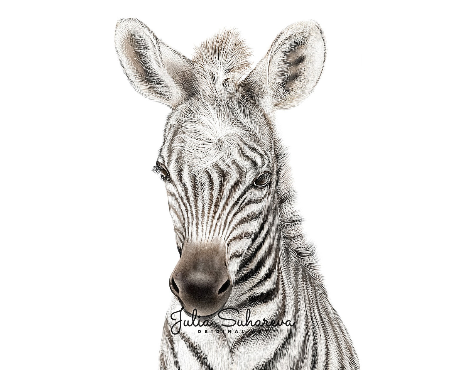 Baby Zebra Print for Safari Nursery Decor Neutral Nursery Etsy