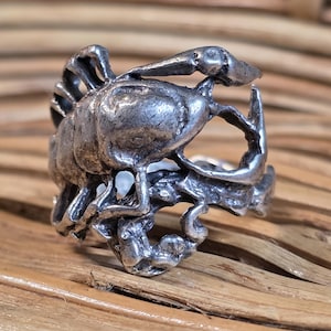 Könnte beinhalten: Ein silberner Ring mit einem detaillierten Krabben-Design. Die Krabbe ist mit komplexen Texturen geformt, die Scheren, Körpersegmente und Augen zeigen. Der Ring ist vor einem natürlichen Holzuntergrund platziert, der den Glanz des Metalls hervorhebt.