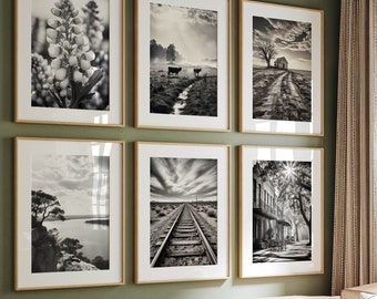 Texas Black and White Photo Print Set: Austin Gallery Wall Art