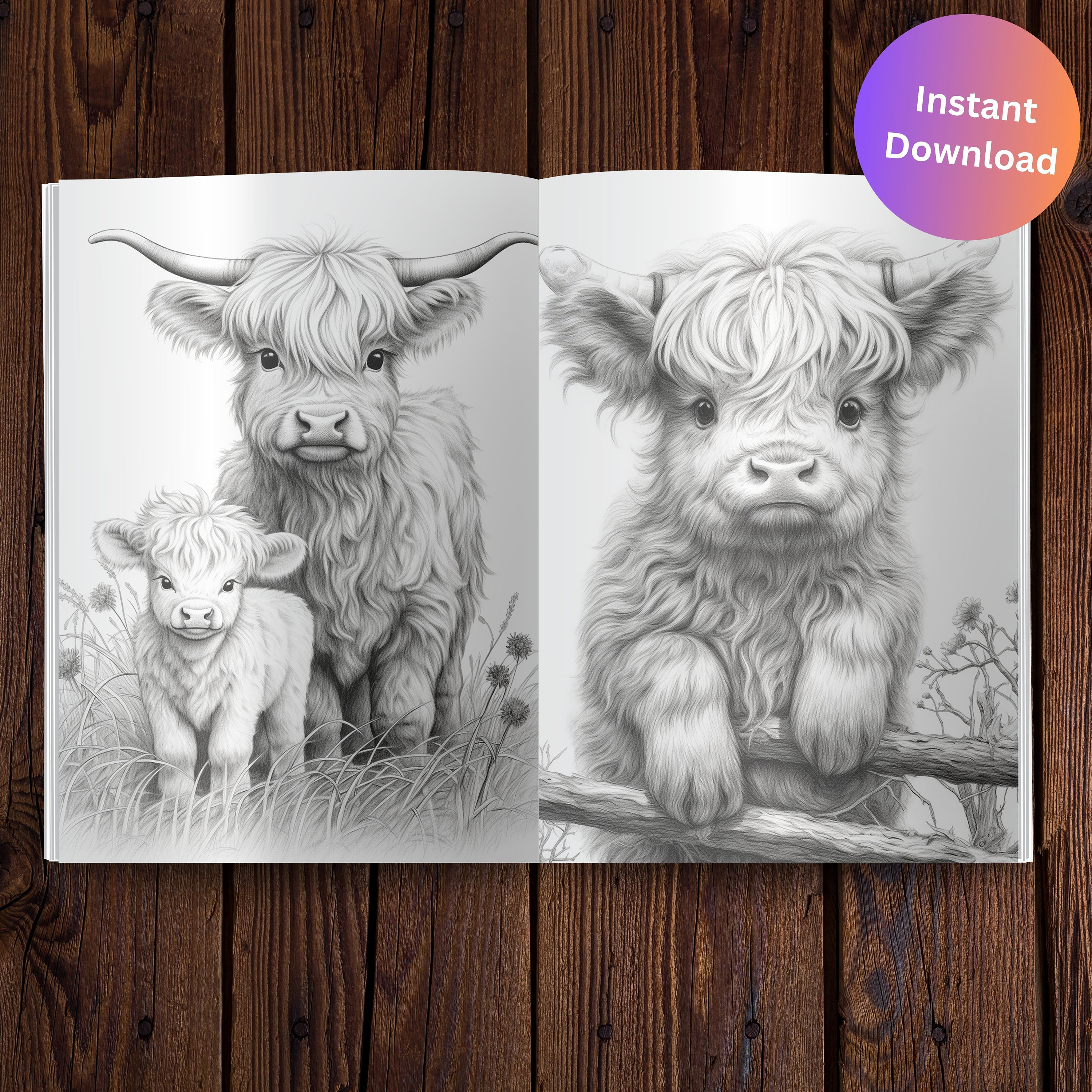 Baby Highland Cows Coloring Page Book Adults Kids, Cow Coloring Instant