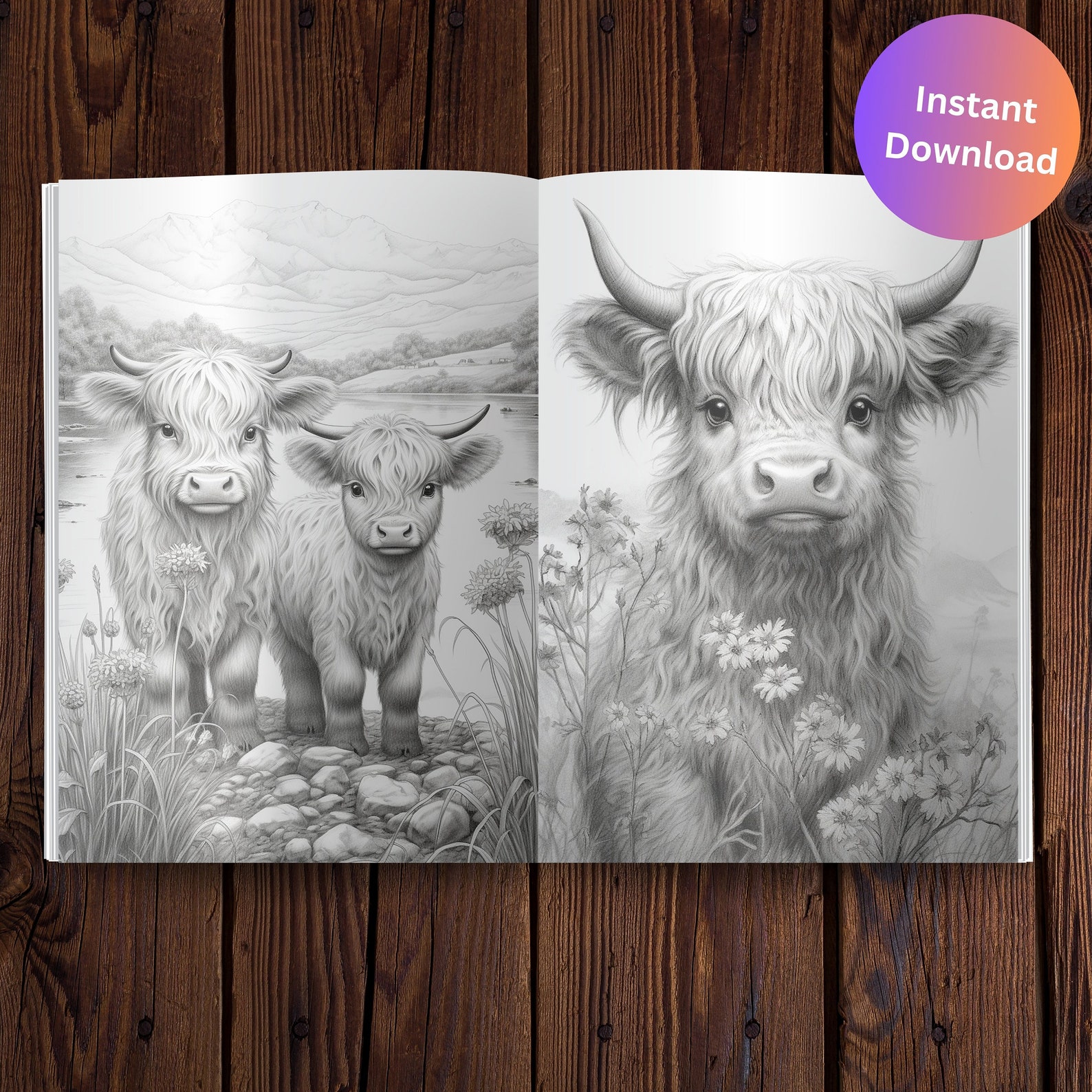 Baby Highland Cows Coloring Page Book Adults Kids, Cow Coloring Instant