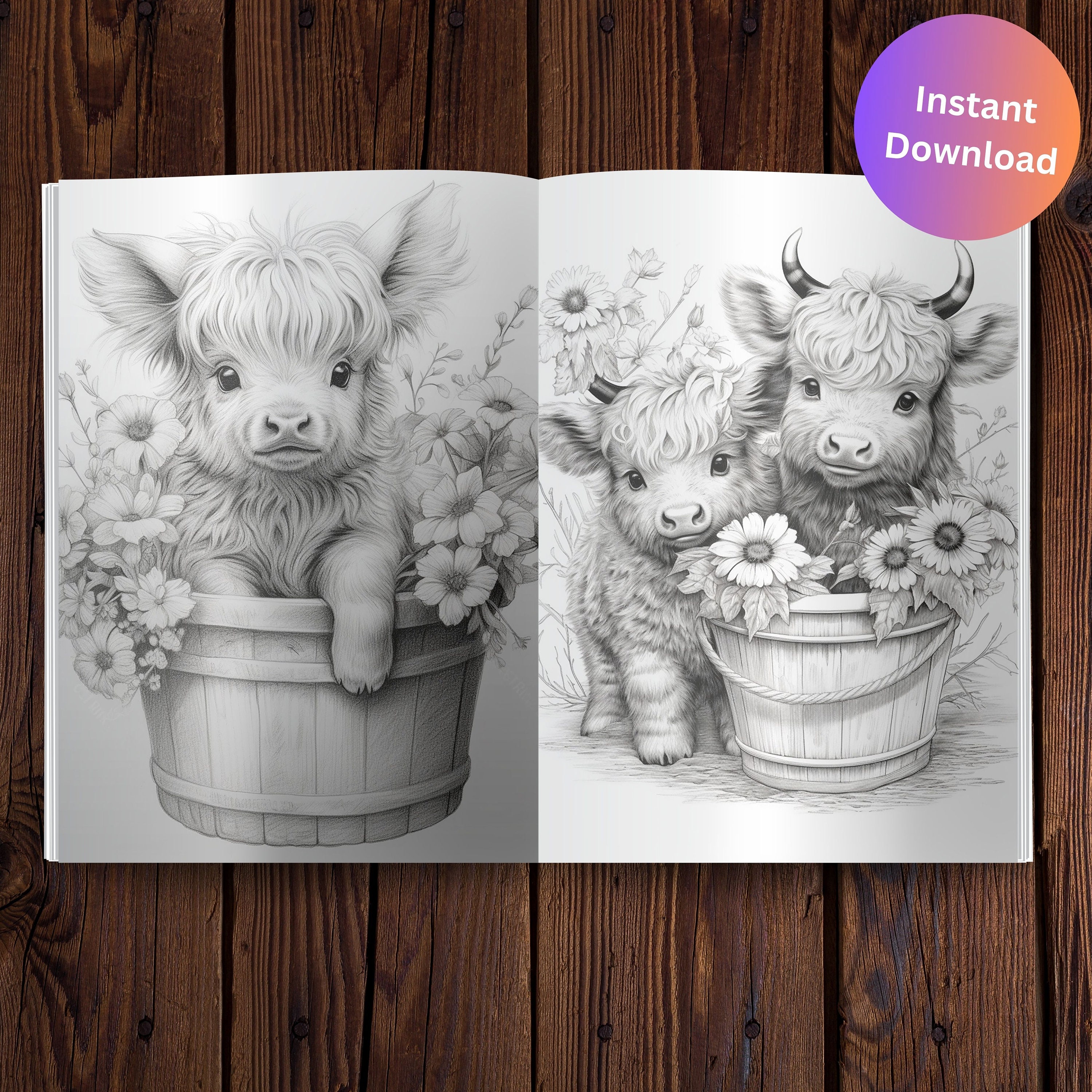 Baby Highland Cows Coloring Page Book Adults Kids, Cow Coloring Instant