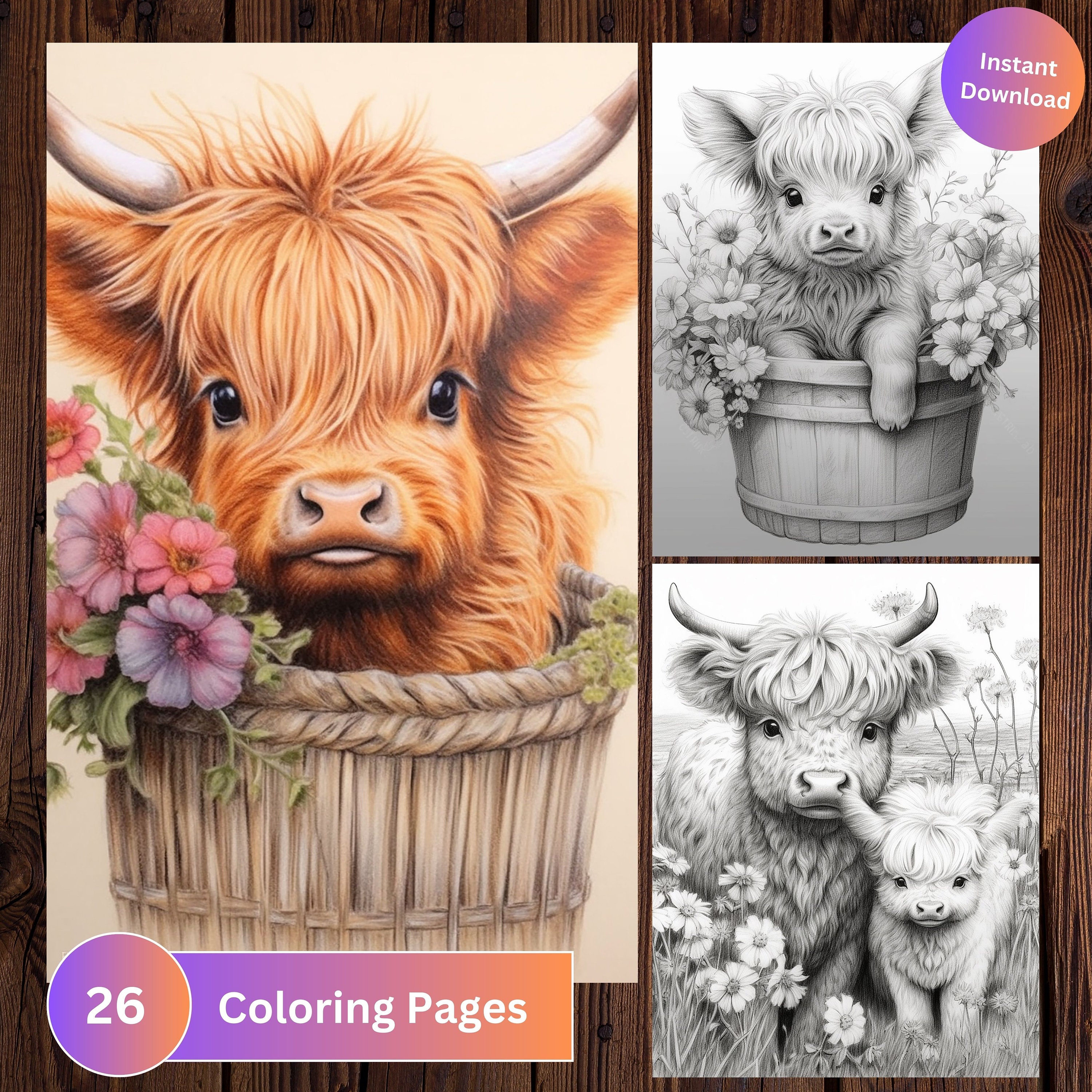 Baby Highland Cows Coloring Page Book Adults Kids, Cow Coloring Instant