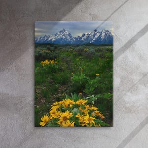 Puede incluir: Impresión en lienzo que presenta un paisaje montañoso con picos nevados bajo un cielo nublado. El primer plano muestra un campo de vibrantes flores silvestres amarillas y exuberante vegetación verde.