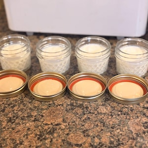 Live Milk Kefir Grains: Probiotic Fermented Drink Culture, Gut Health Support GLP-1 Support