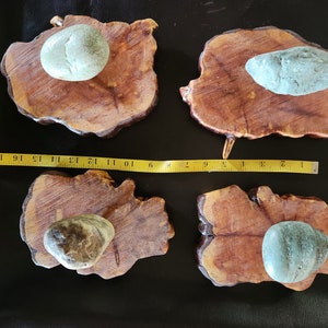 May include: Four rustic wooden coasters with natural edges, each holding a smooth, light-colored stone. The coasters are arranged on a dark surface, with a measuring tape providing scale. The wood has a warm, reddish-brown hue.