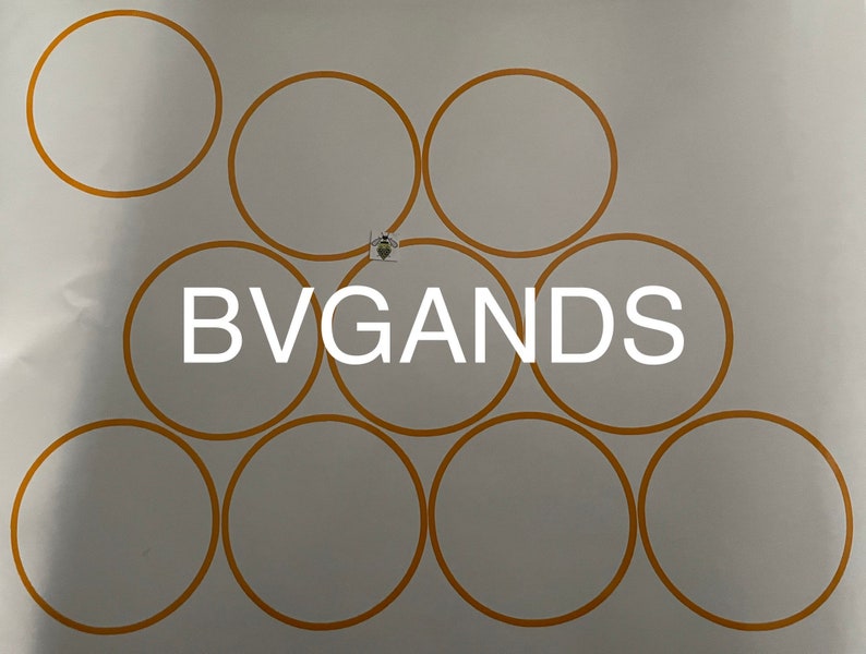 K&ouml;nnte beinhalten: Ein wei&szlig;es Blatt mit mehreren orangefarben umrandeten Kreisen. Der Schriftzug "BVGANDS" ist wei&szlig; mittig gedruckt. Die Kreise sind gleichm&auml;&szlig;ig angeordnet und in einem rasterartigen Muster angeordnet. Das Bild hat eine klare, minimalistische &Auml;sthetik.