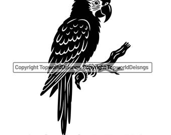 Macaw Parrot SVG: Tropical Bird Clipart, Nature Art (Digital Download)