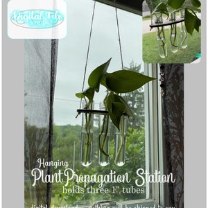 Anzuchtstation BUDVASE svg pdf Datei Glowforge Knospe Vase Reagenzgläser Laser Garten Fensterbehang Pflanze Stecklinge Blumen für Mama Stiele