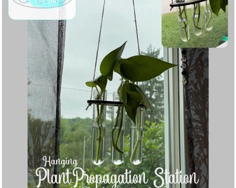 ESTACIÓN DE PROPAGACIÓN BUDVASE svg pdf archivo de corte Glowforge bud jarrón tubos de prueba láser jardín ventana colgante planta esquejes flores para tallos de mamá