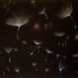 Disegno originale del dente di leone: Arte 'FLYING DANDELION SEEDS' su carta - Meditazione Zen - Opera d'arte unica nel suo genere