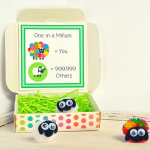 Unusual Gift | Quirky Gift | You are Unique | One in a Million | Gift for Someone Special | Rainbow Sheep | Different Gift | Eccentric Gift