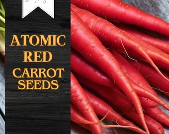 400+ Atomic Red Carrot Seeds | USA Seller | Non-GMO