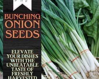 300+ Bunching Onion Seeds | USA Seller | Non-GMO, Heirloom Seeds, Garden Seeds