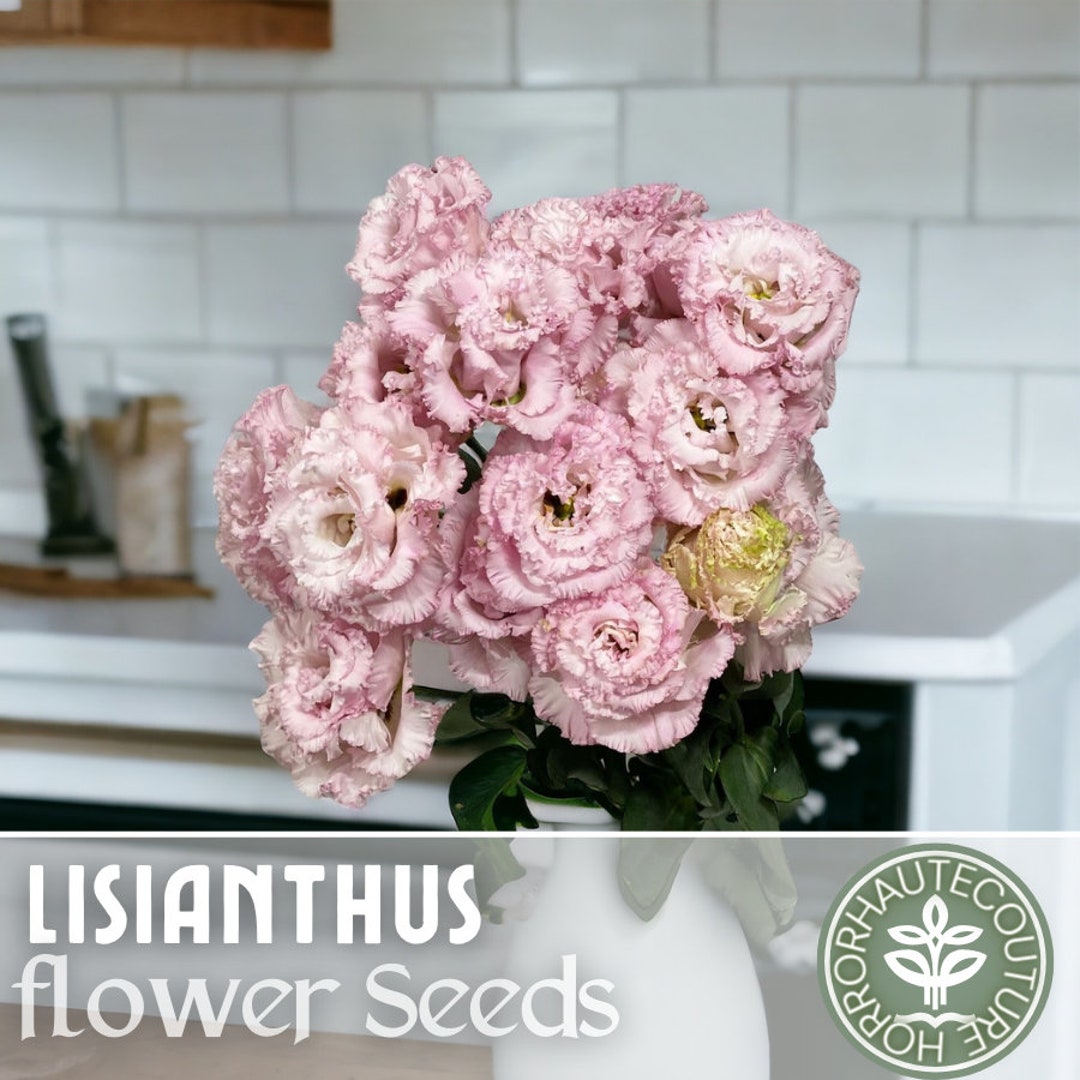 Lantis Seed Lisianthus Seeds - 100 Seeds - Voy Pink - Garden Seeds Cut Flower Gifts ...