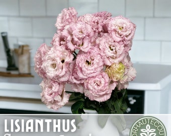 Lisianthus Seeds - 100 Seeds - Voy Pink -  Garden Seeds Cut Flower Gifts