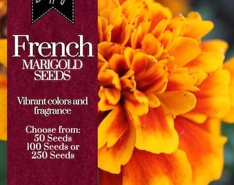 French Marigold Seeds Heirloom Flower, Flower Seeds, Annual Seeds, Bulk Seeds, Wholesale