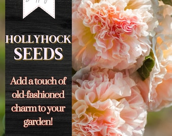 Hollyhock Seeds, Heirloom Seeds, Alcea Rosea, Flowers Perennial Flowers Seed 45+ Seeds Garden Plant Biennial