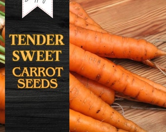 400+ Tender Sweet Carrot Seeds | USA Seller | Non-GMO