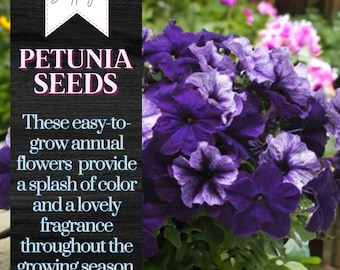 Petunia Seeds - Fragrant - 175 Seeds - Flower Seeds - Gift For her