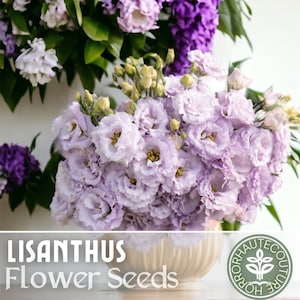 Lisianthus Seeds - 100 Seeds - Lavender Pride -  Garden Bloom Flower Seed Flowers Garden Seeds Cut Flower Gifts