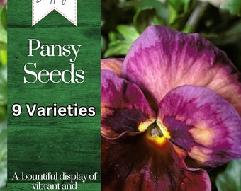 Pansy Seeds (Viola) - Fragrant - 150 Seeds